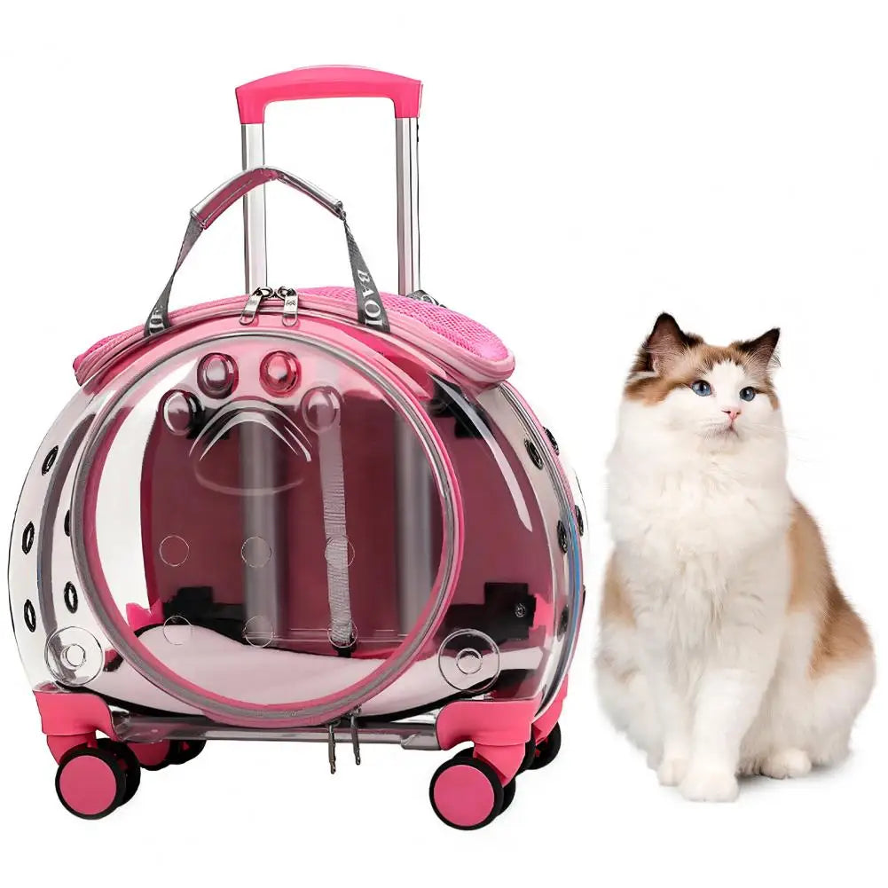 Rolling Transparent Pet Carrier Backpack